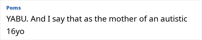 Comment text from mother of autistic teen discussing punishment related to sarcasm misunderstanding at school.