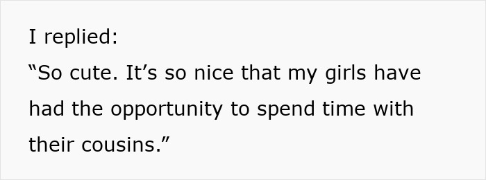 Text excerpt showing a person replying about nieces spending time with cousins in family interaction discussion.