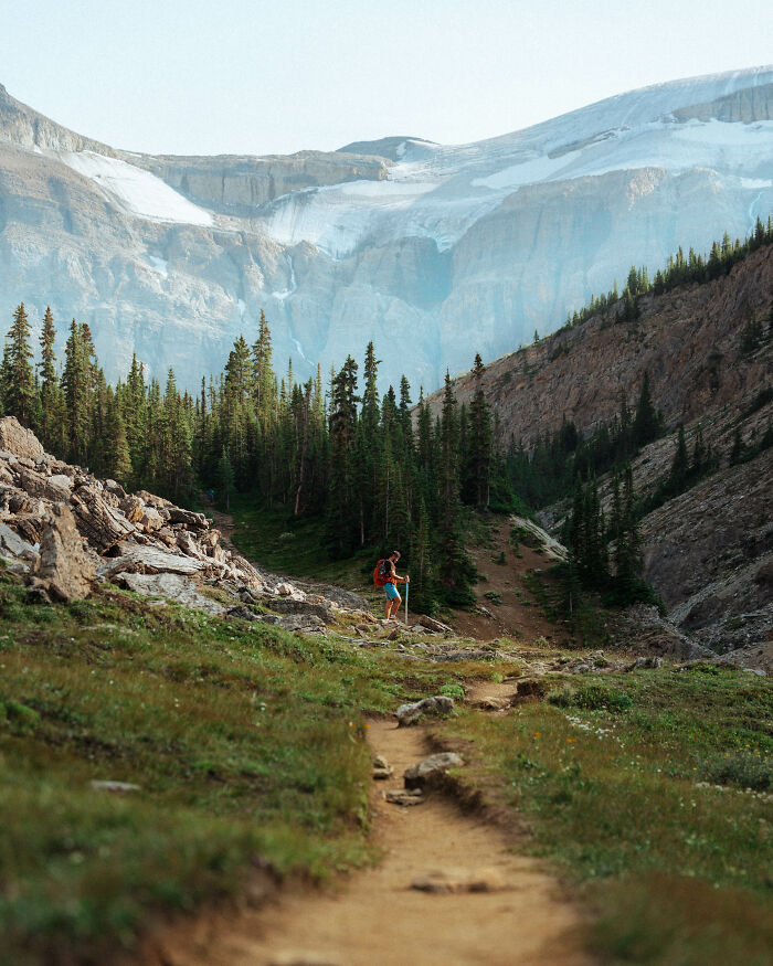 Hiker exploring a mountain trail with pine trees and rocky cliffs, symbolizing a journey to find purpose. Hiker exploring a mountain trail with pine trees and rocky cliffs, symbolizing a journey to find purpose.