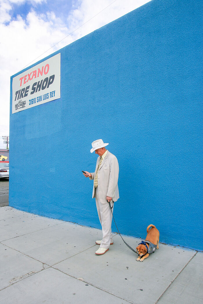 Downward Dog From The Series ' Ellipses' By Jay Calderon