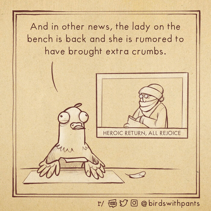 Comic panel of a bird reporting news about a lady bringing extra crumbs, part of funniest animal comics series.