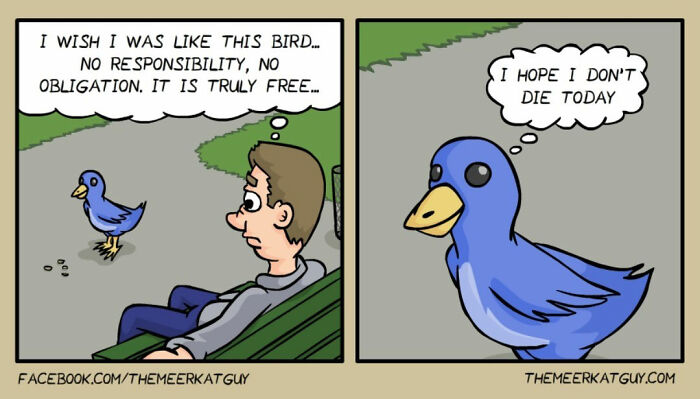 Cartoon featuring a man and a bird, illustrating a humorous animal comic about freedom and responsibility.