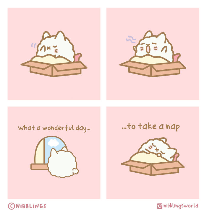 Cute animal comic featuring a fluffy cat in a box enjoying a peaceful nap on a sunny day illustration.