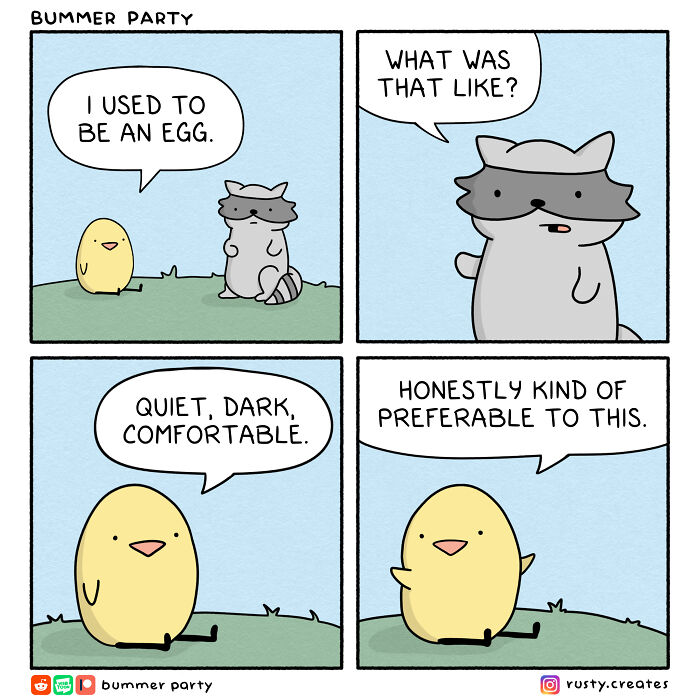 Cute animal comic featuring a chick and raccoon sharing funny, relatable moments in a simple cartoon style.