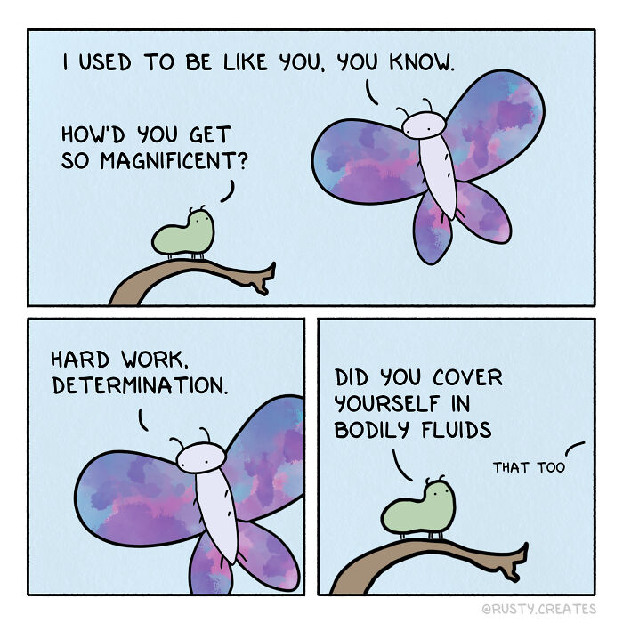 Comic with a caterpillar and butterfly discussing transformation, showcasing funny animal comics from the community.