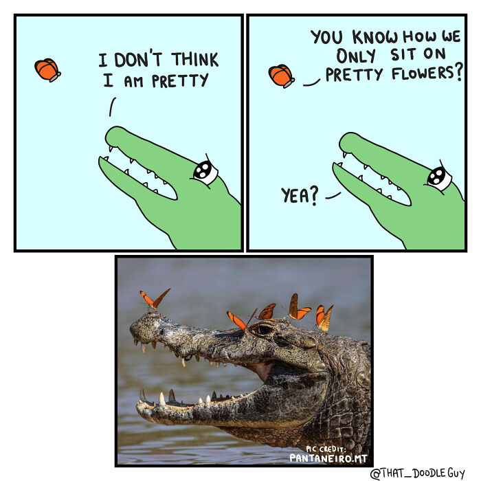 Cartoon and photo of a crocodile with butterflies, showcasing funniest animal comics shared by community.