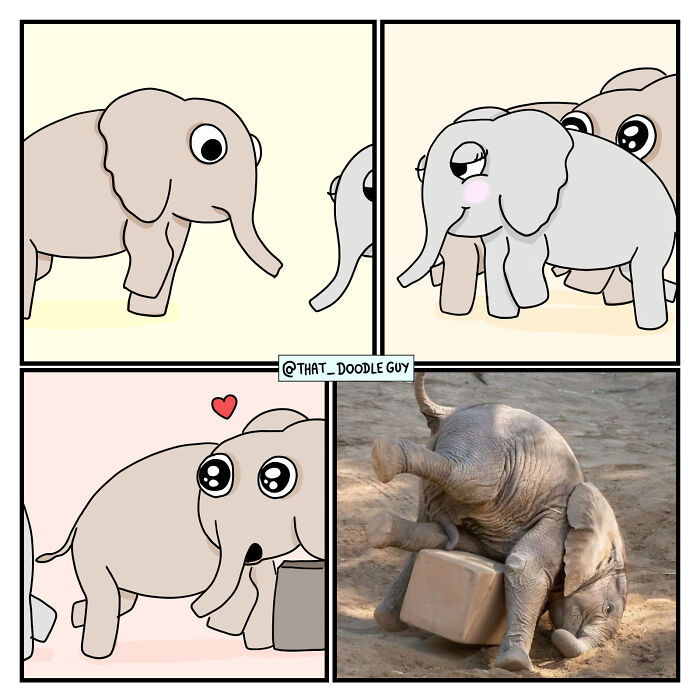 Cartoon elephants in a funny comic strip paired with a photo of a playful baby elephant tumbling in the dirt.