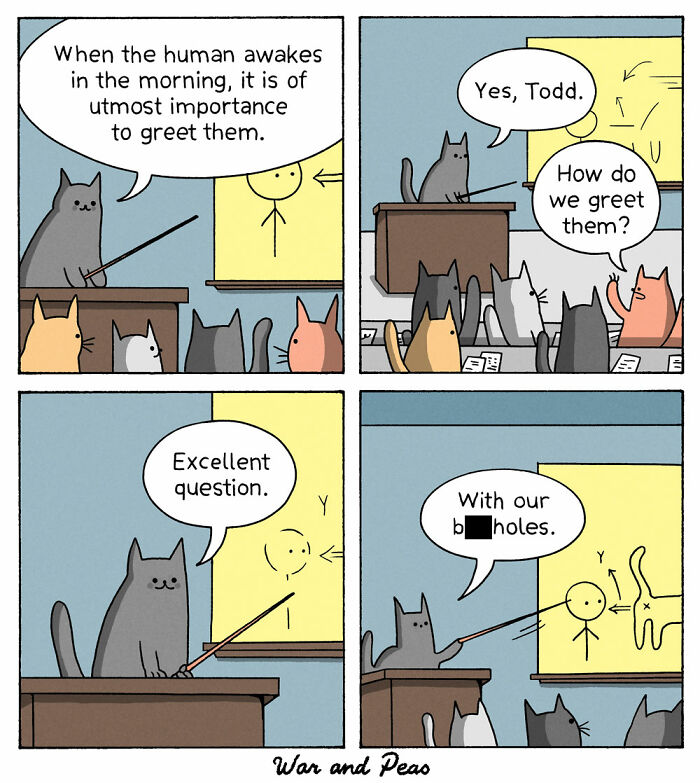 Cartoon animal comic showing cats humorously teaching how to greet humans as part of funny animal comics shared online.