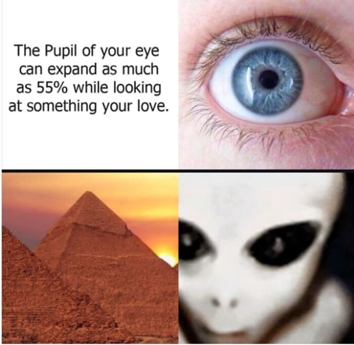 Close-up of an eye and images of Egyptian pyramids and an alien, humorous ancient Egypt memes concept.