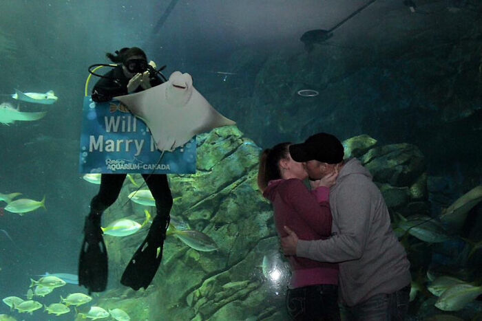 Couple kissing in front of an aquarium with a scuba diver photobombing their proposal, an epic photobomb moment.