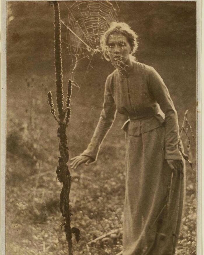 Victorian era woman in long dress standing near large spider web with a curious expression in a sepia-toned photo.
