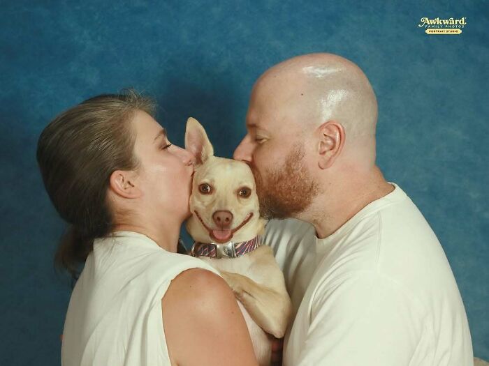 Couple kissing their dog in an awkward studio pic with a blue background, showcasing quirky and funny pet portraits.