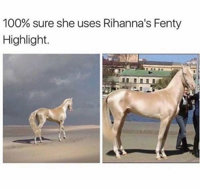 Shiny, highlighted horse with glowing coat humorously illustrating makeup and fashion diva life style.