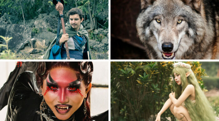 Collage of fantasy characters and a wolf representing choose one lose the rest poll concept in nature and indoor settings