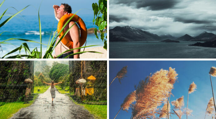 Collage showing a person at the beach, stormy mountains, walking in rain, and close-up of pampas grass outdoors.