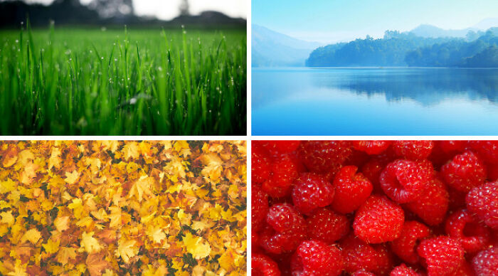 Close-up photos of green grass, a calm lake, autumn leaves, and fresh raspberries for choose one lose the rest poll.
