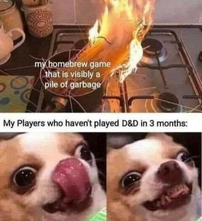 Burning spaghetti labeled homebrew game with funny dog faces representing players who haven't played D&D, gaming meme for dads.