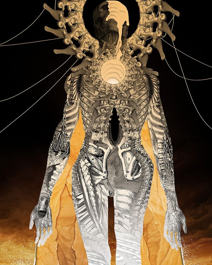 Intricate human skeleton collage with layered bones and organic patterns against a dark background with textured elements.