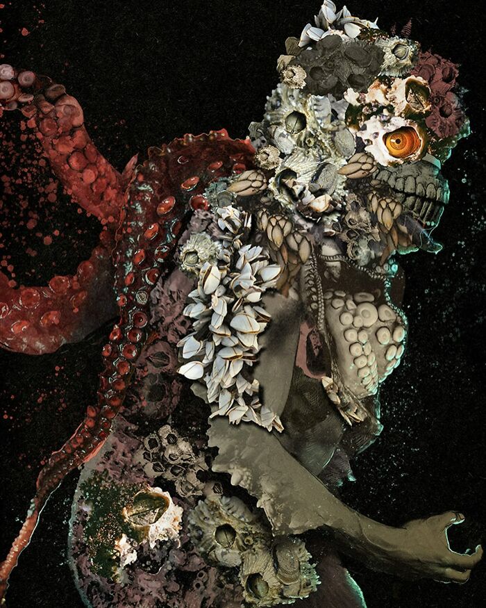 Intricate collage of a humanoid figure made from sea creatures and shells with a dark background and red octopus tentacle.