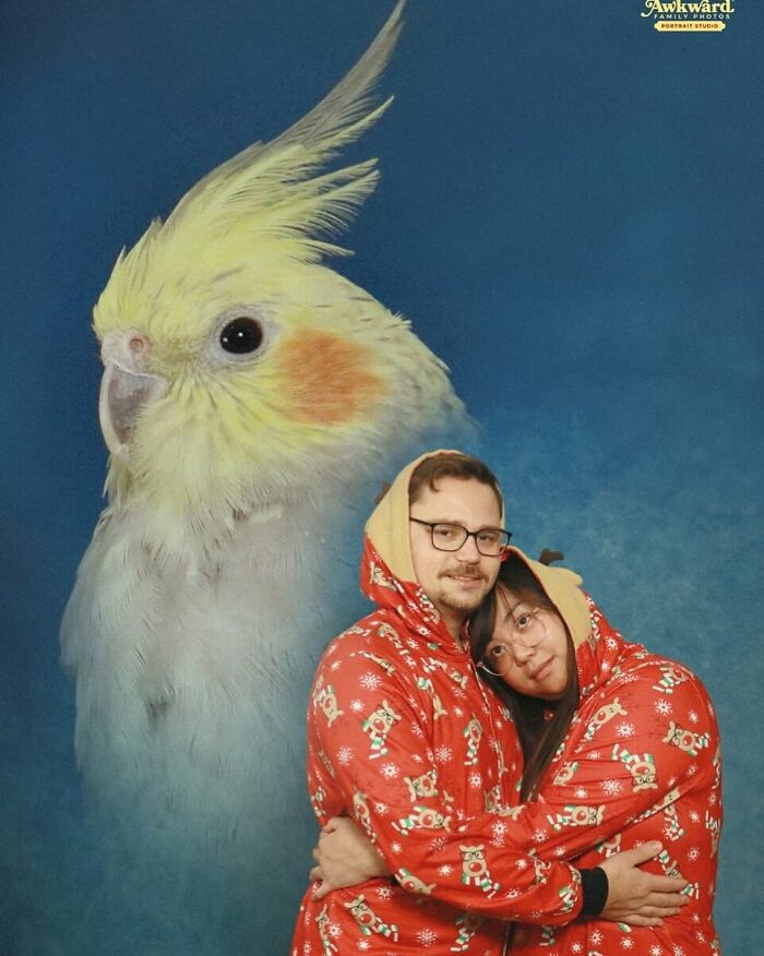 Couple wearing matching holiday onesies posing awkwardly in studio with large cockatiel bird backdrop for awkward studio pics.