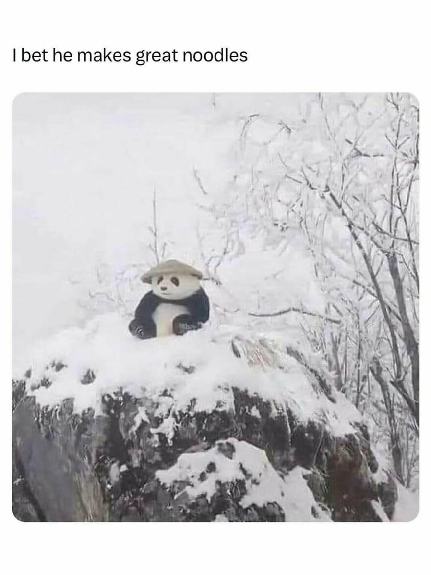 Panda figurine wearing a hat sitting on a snowy rock amid frosted trees, a funny animal meme for a light mood.