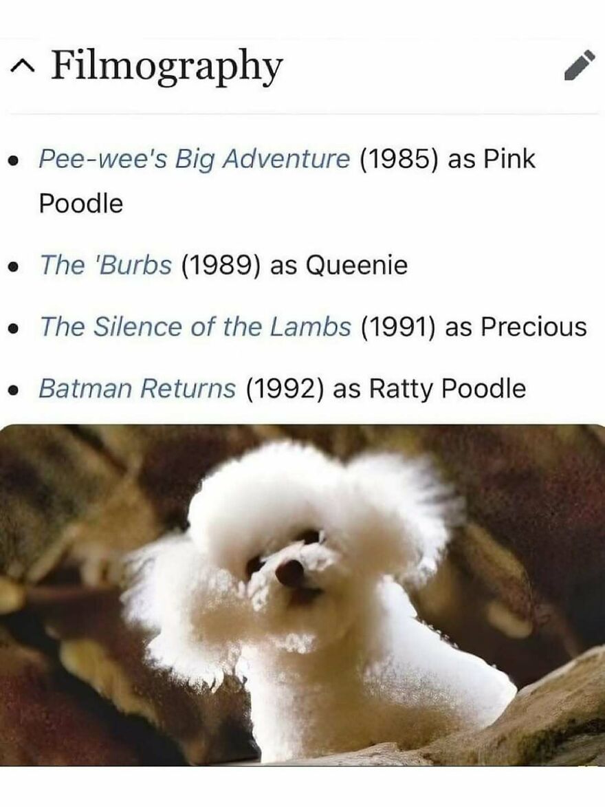 Funny animal memes featuring a fluffy white poodle listed in a humorous movie filmography.