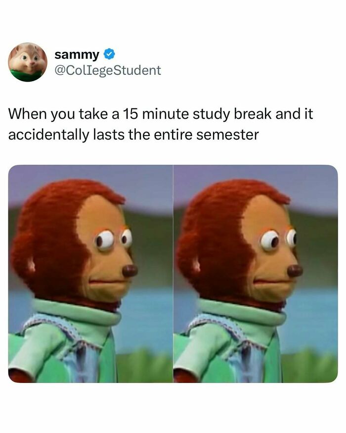 Relatable student meme showing a puppet looking awkward after a study break that lasts the entire semester.