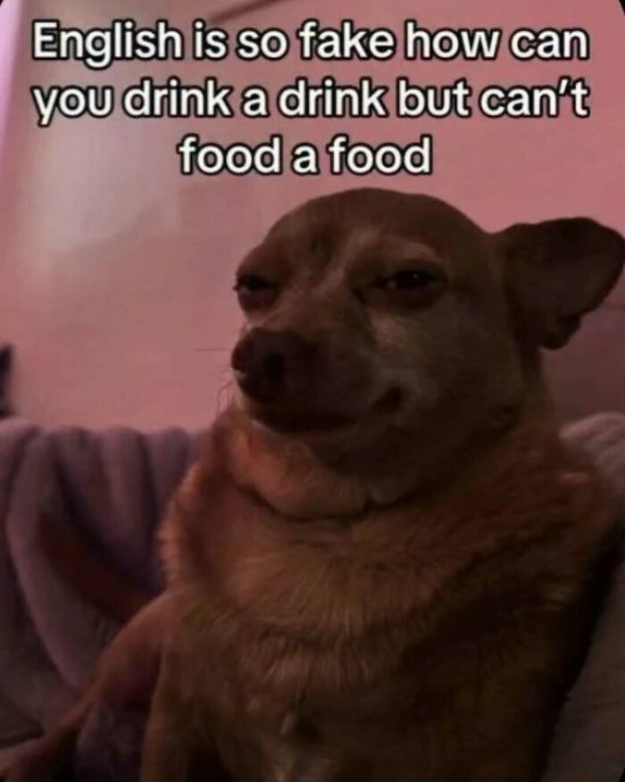 Dog with a smirking face and meme text about English language quirks, perfect for Laughgorithm memes collection.