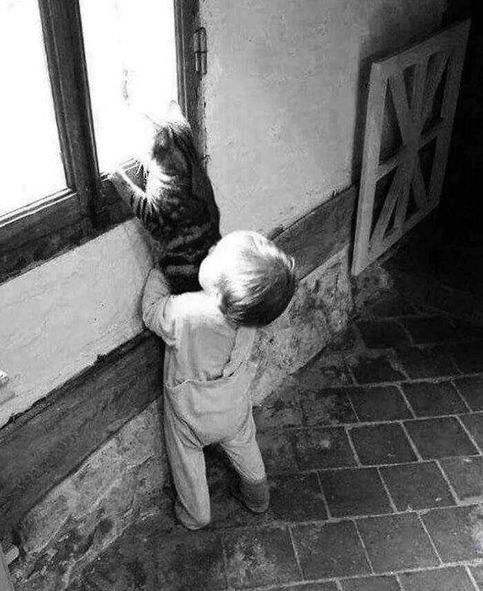 Child holding tabby cat looking out a window, capturing one of the decisive moments cats steal the show in photos.