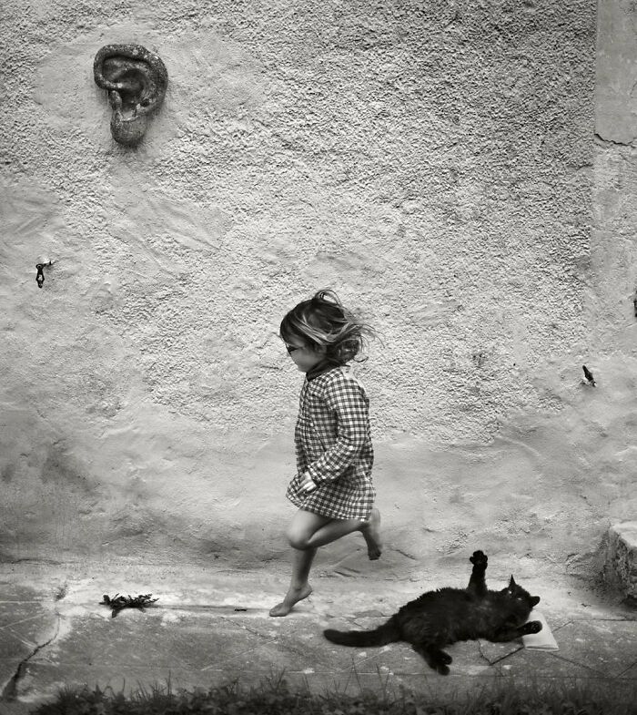 Child in a checkered dress playing outdoors with a black cat, capturing a purr-fect shot of cats stealing the show.
