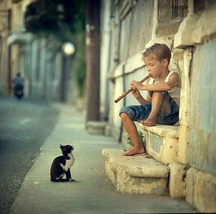 A young boy plays a flute on stone steps while a black and white cat attentively watches on a quiet street.