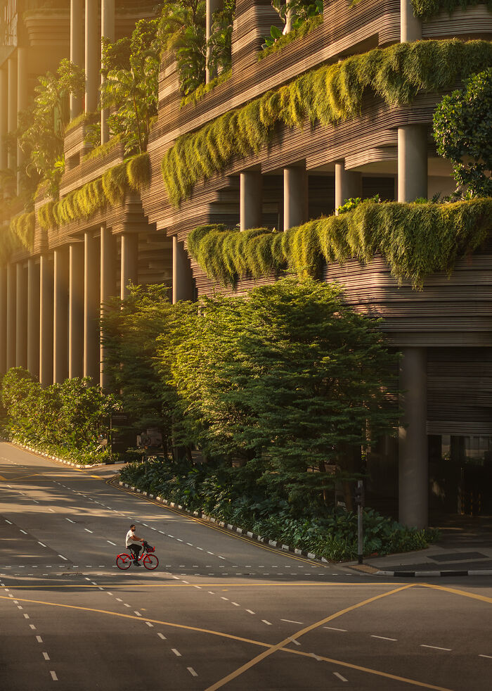 Man riding a red bicycle on an empty street near a modern building with greenery, captured in street photography around the world.