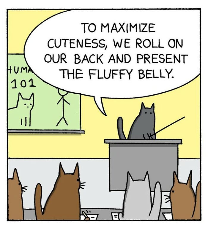 War and Peas comic strip showing cats in a classroom with a dark, absurd, and funny lesson on cuteness.