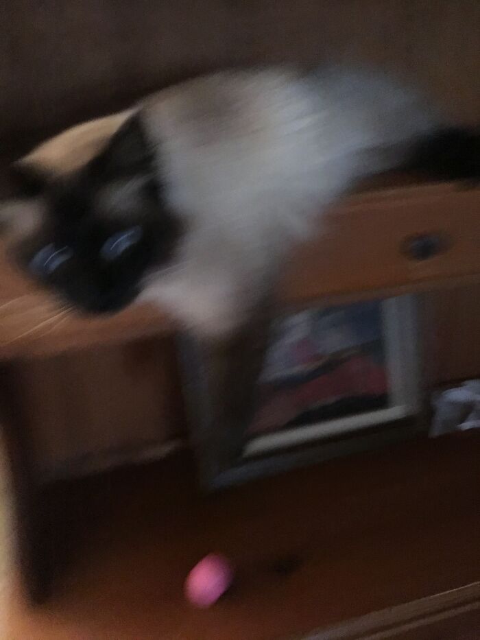 Oh No! Busted! (Sorry For The Quality)