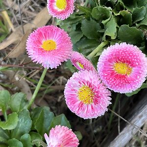 zimmerjenny82 avatar