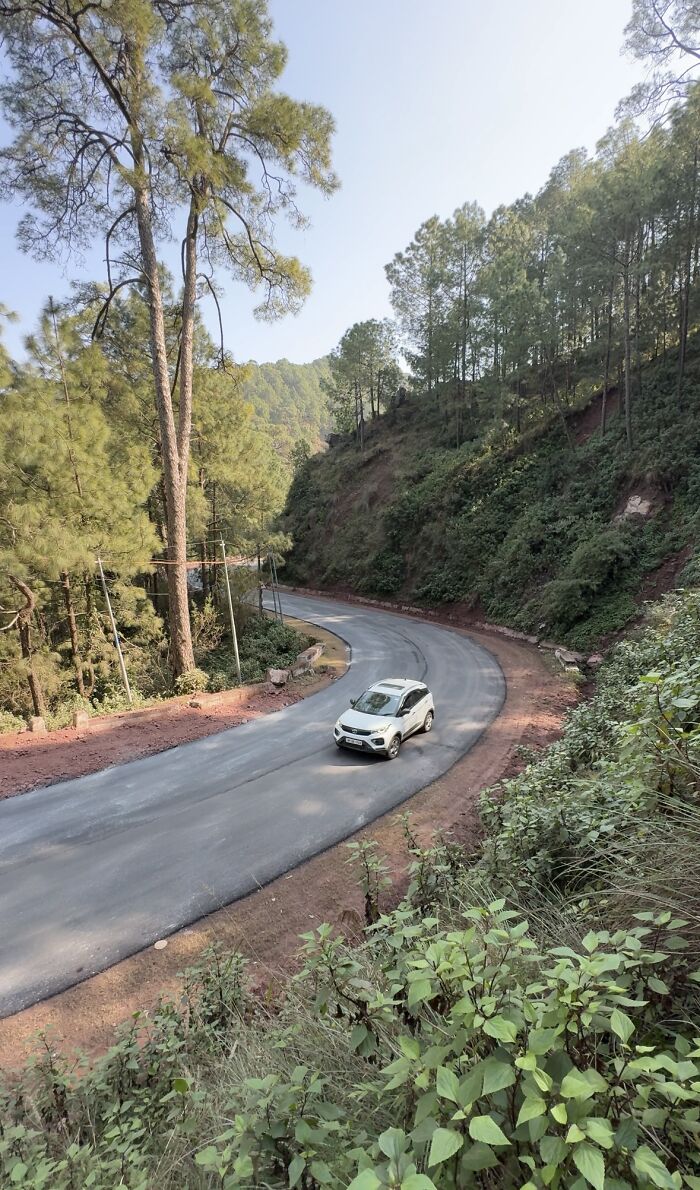 My 4-Night Kasauli Escape: A Personal Travelogue With Two Very Different Stays My 4-Night Kasauli Escape: A Personal Travelogue With Two Very Different Stays