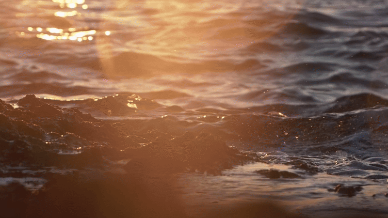 Magic Waters: How I Reimagined Tarot For The Modern People Magic Waters: How I Reimagined Tarot For The Modern People