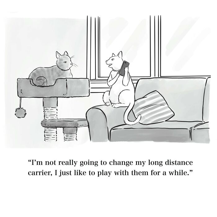 Cartoon of two cats with one holding a phone, humorously referencing long distance carriers in a witty one-panel cartoon.