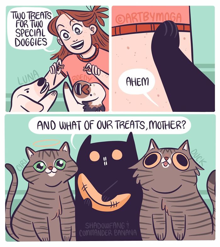 Comic showing pets and their owner, featuring dogs and cats humorously asking for treats in a relatable pet relationship scene.