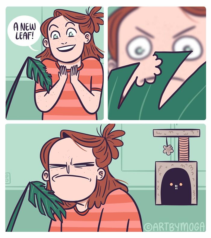 Comic showing a girl with a damaged plant leaf and a cat, highlighting pets and everyday chaos humor.