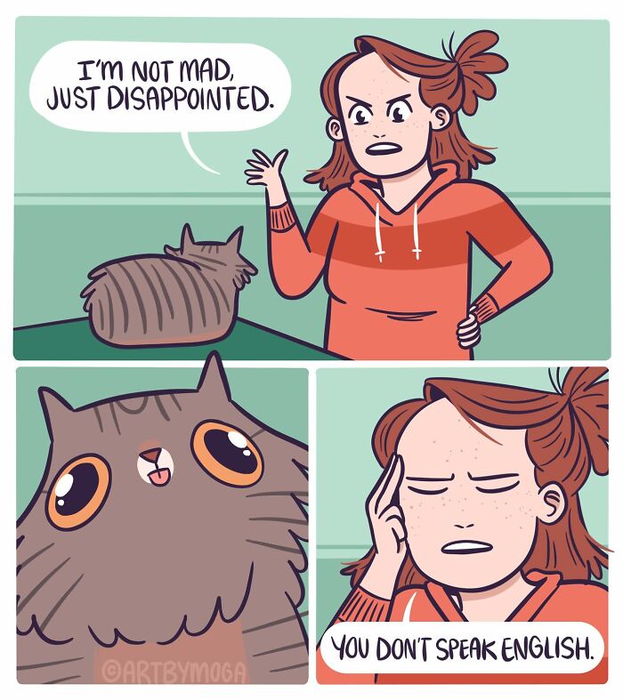 Comic panels showing a frustrated woman and a cat, illustrating pets and everyday relationship chaos in a humorous way.