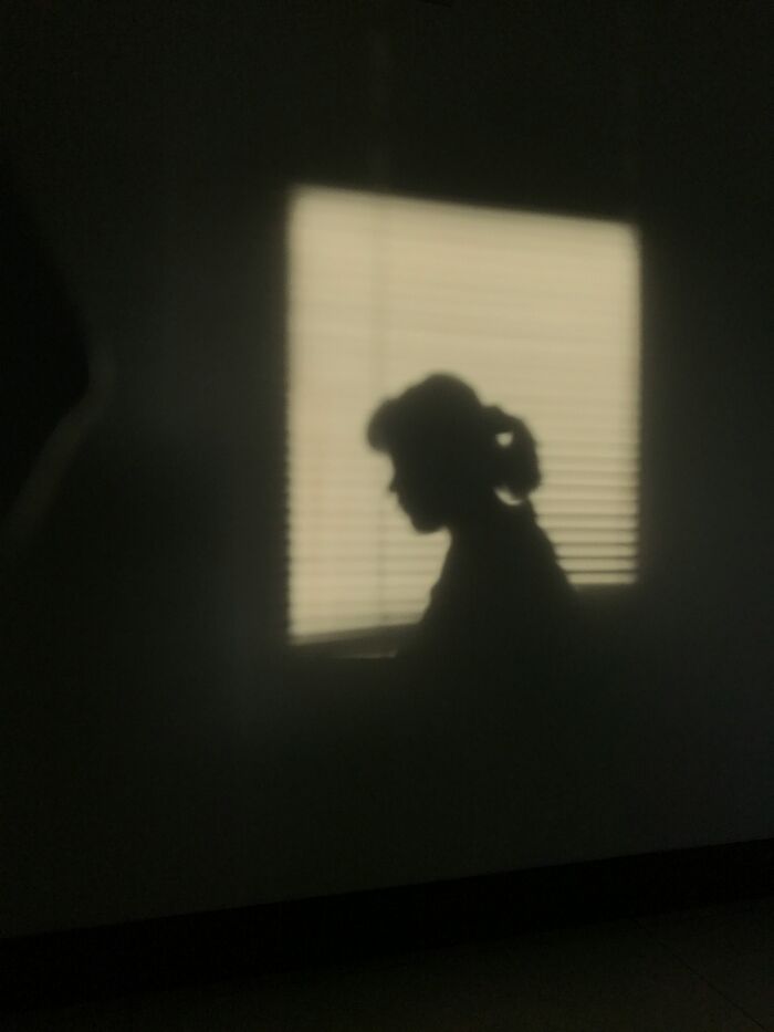 Silhouette of a person in front of a window, evoking emotions related to forgiveness and family loss.