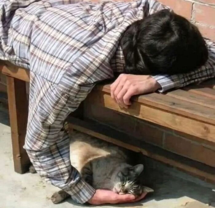 Person lying on a bench with plaid shirt, gently holding a sleeping cat’s head in hand, showcasing a peaceful moment.