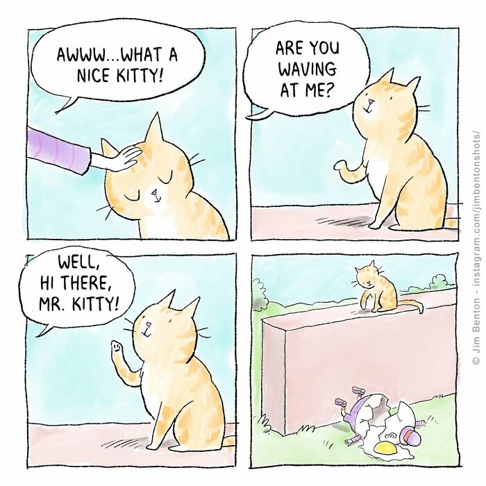 Cartoon of an orange cat interacting with a person, humorously capturing what it’s like to live with cats.