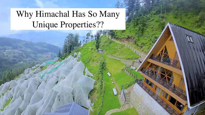 My 4-Night Kasauli Escape: A Personal Travelogue With Two Very Different Stays My 4-Night Kasauli Escape: A Personal Travelogue With Two Very Different Stays