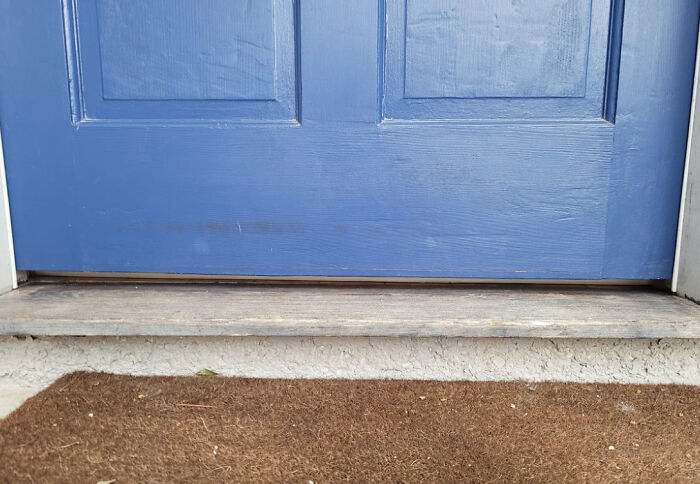 45 Fun Word Origins You Might Want To Drop Into Every Conversation