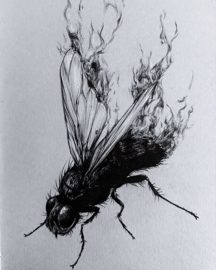 Detailed black and white drawing of a fly with melting, smoky wings, showcasing creepy yet gorgeous nightmare-inspired art.