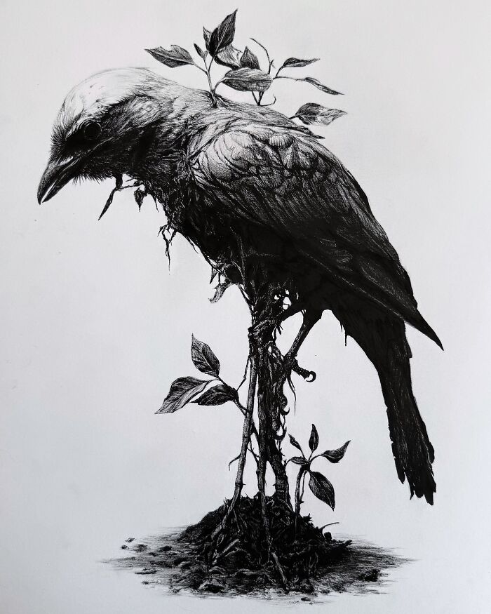 Black ink drawing of a creepy yet gorgeous bird intertwined with plant roots and leaves, showcasing nightmare-inspired art.