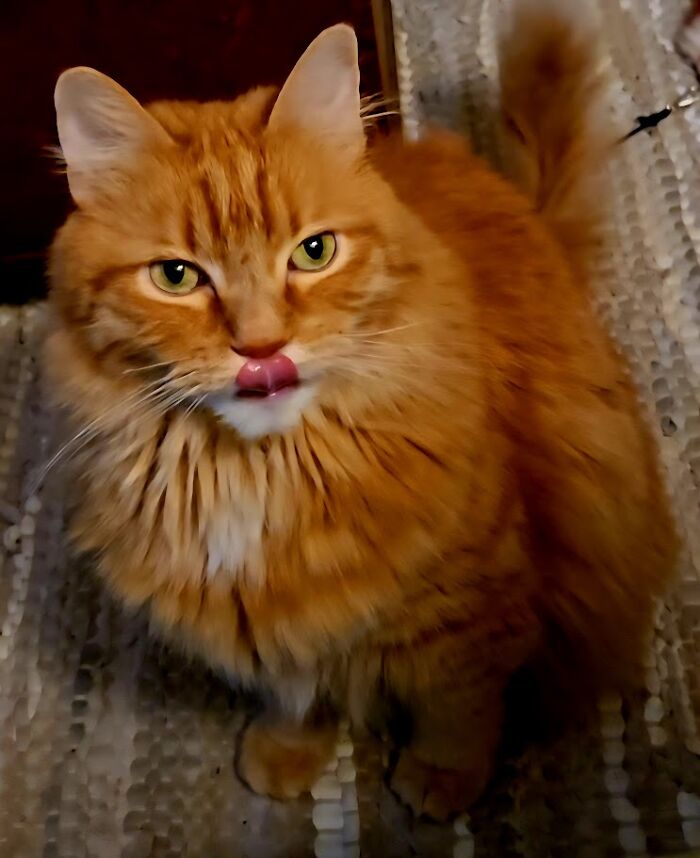 "Hey, Mom! Whatcha Eating?" - Snafu James' Perpetual Question