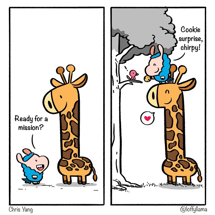 Operation Kindness: Completed